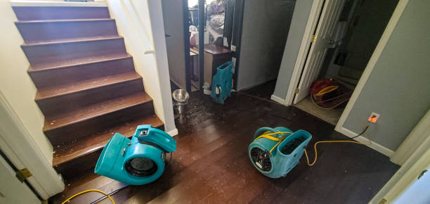 Best Water damage restoration near me  in Henrietta, TX