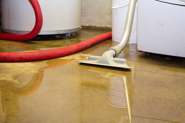 Best Flood damage cleanup  in Henrietta, TX
